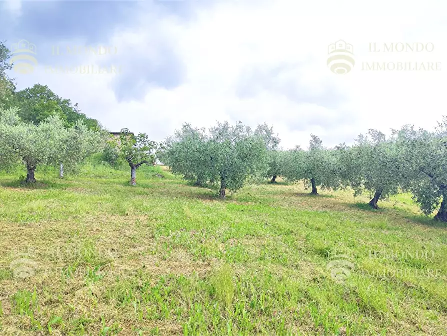 Immagine 28 di Casa bifamiliare in vendita  in Strada di Colle Fagiano a Palombara Sabina