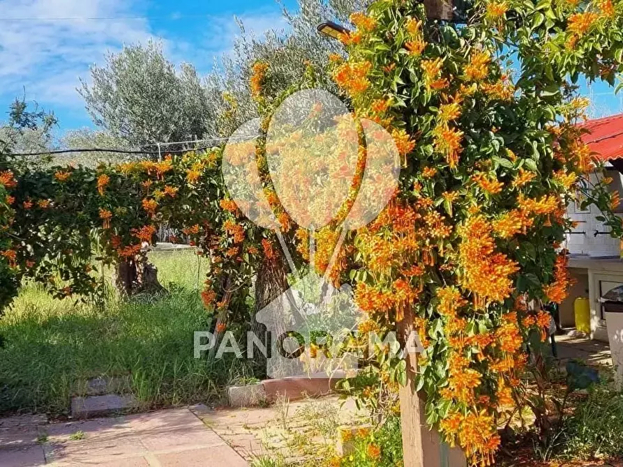 Immagine 8 di Terreno edificabile in vendita  in B&B falconeria a Partinico