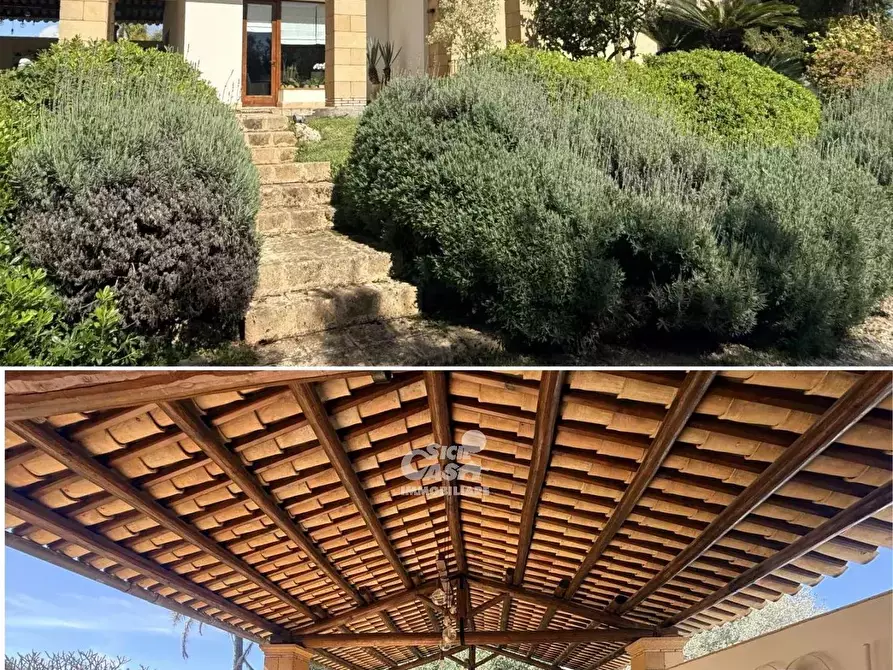 Immagine 11 di Terreno edificabile in vendita  a Marsala