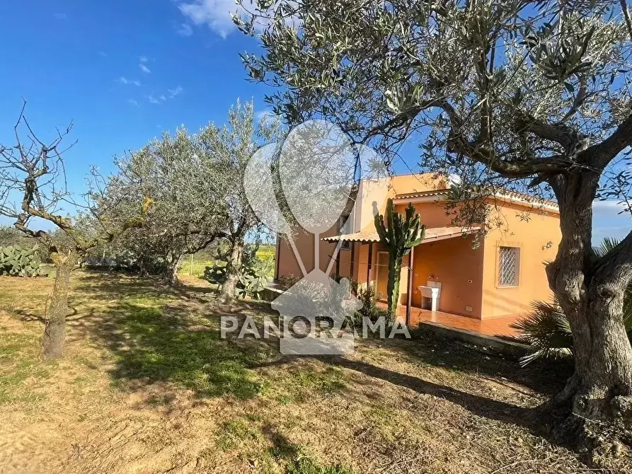 Immagine 9 di Terreno edificabile in vendita  in Contrada Bosco Falconeria a Partinico