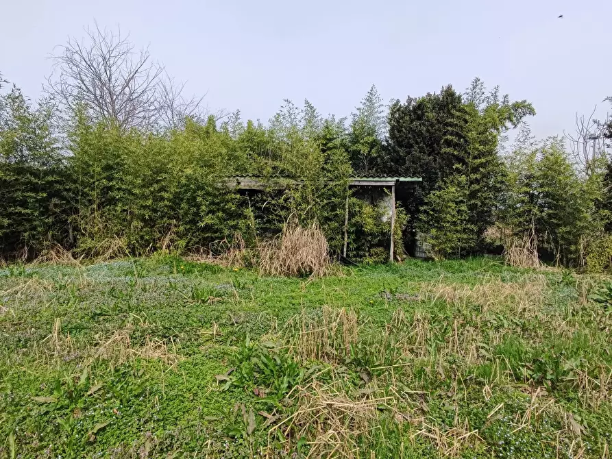 Immagine 8 di Terreno edificabile in vendita  a Santa Lucia Di Piave