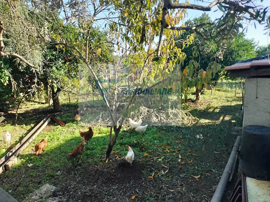 Immagine 2 di Terreno edificabile in vendita  in Via Monti Climiti a Buccheri