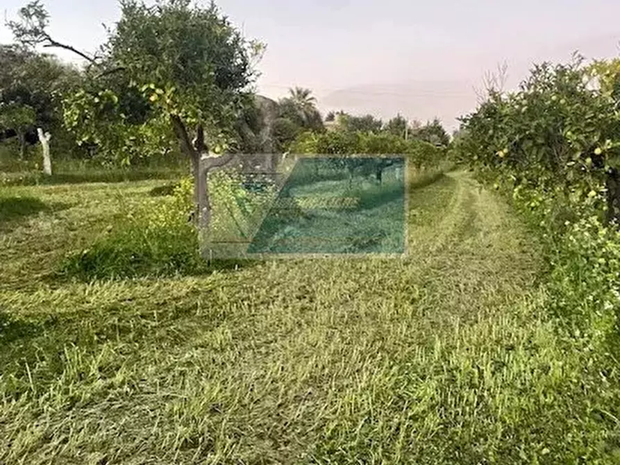 Immagine 4 di Casa bifamiliare in vendita  in C.da Carancino a Siracusa