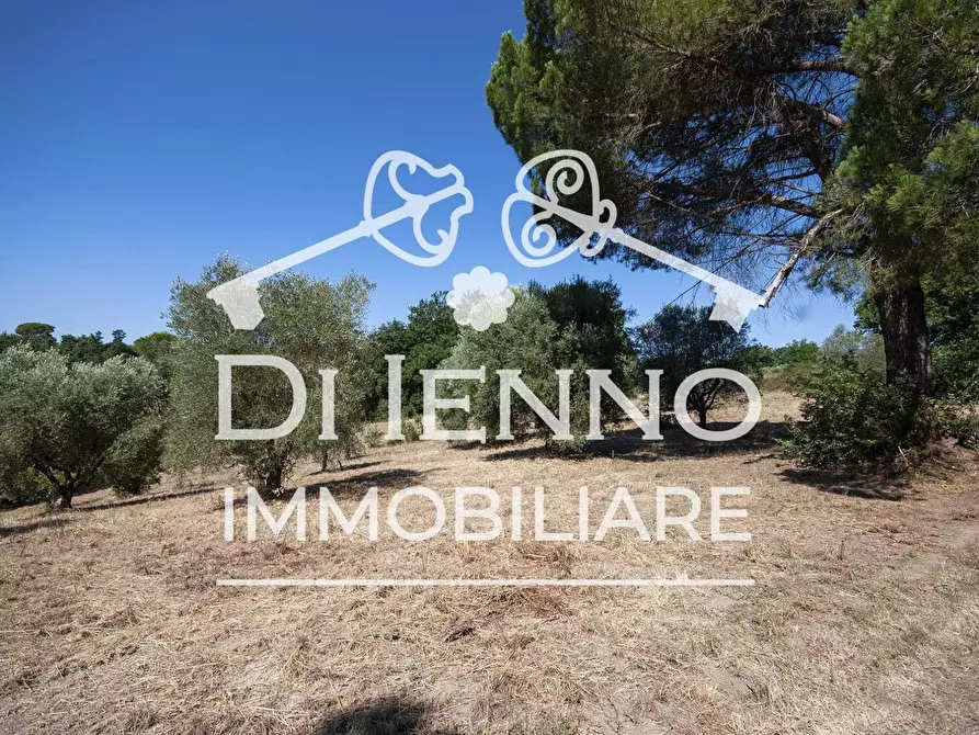 Immagine 6 di Terreno in vendita  a Roma