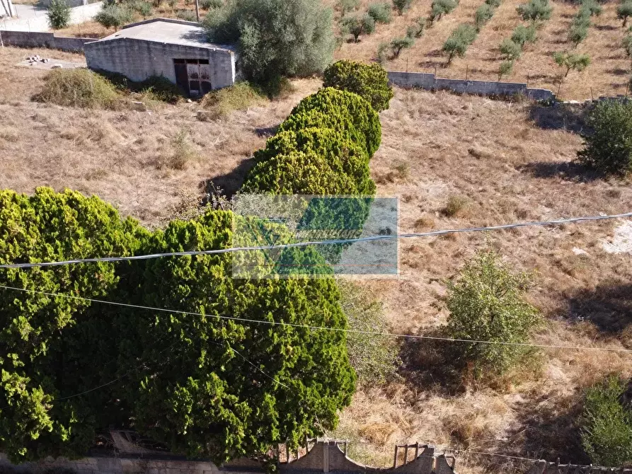 Immagine 25 di Terreno in vendita  a Avola