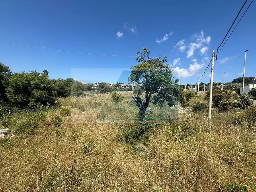 Immagine 9 di Terreno in vendita  in Strada Tremmilia a Siracusa
