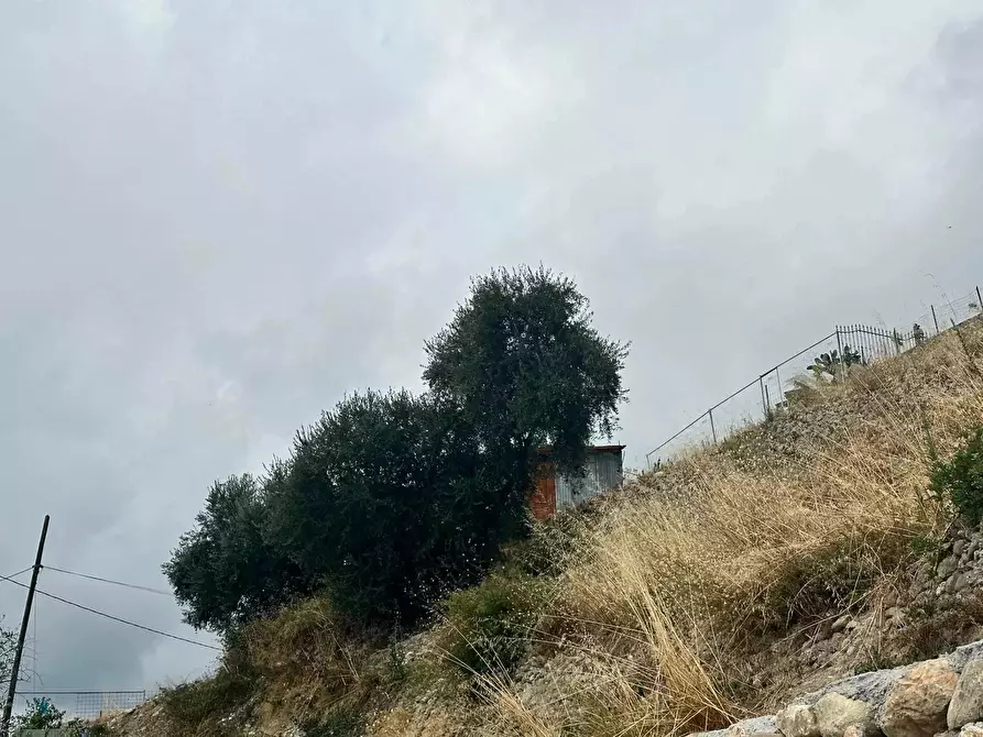 Immagine 6 di Terreno in vendita  in Via Monsignor Nicolò Peitavino a Ventimiglia
