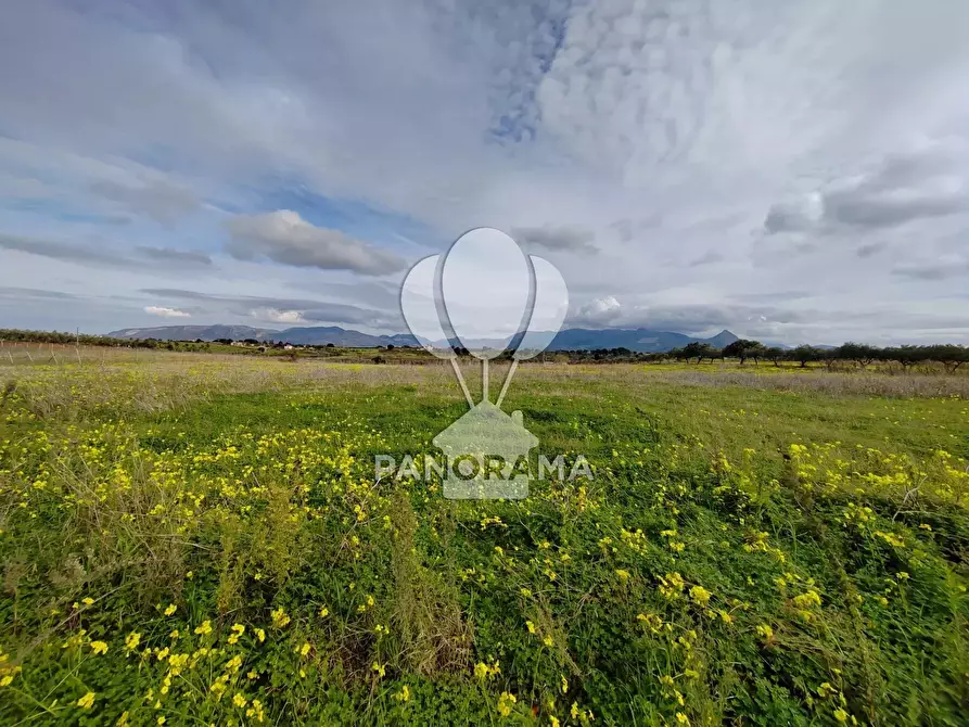 Immagine 12 di Attico in vendita  a Partinico