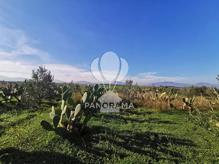 Immagine 3 di Terreno in vendita  a Partinico