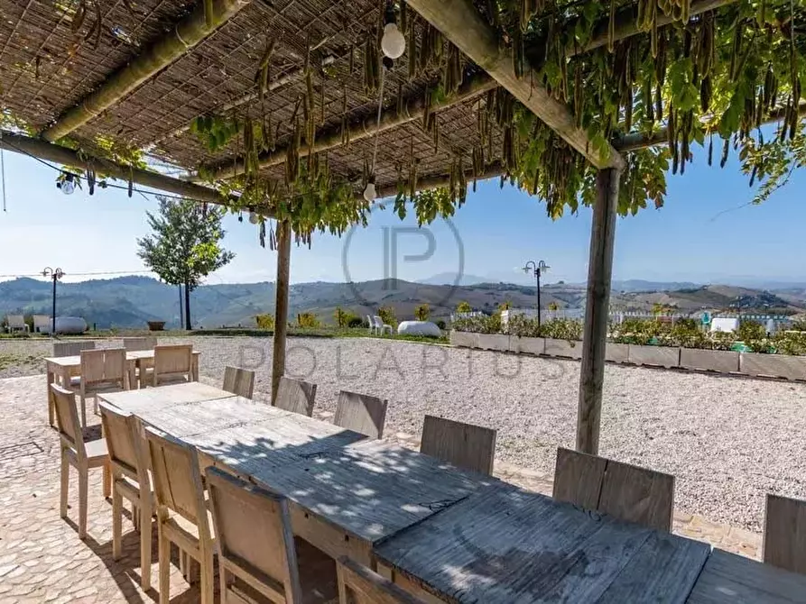 Immagine 12 di Terreno edificabile in vendita  in ripatransone a Ripatransone