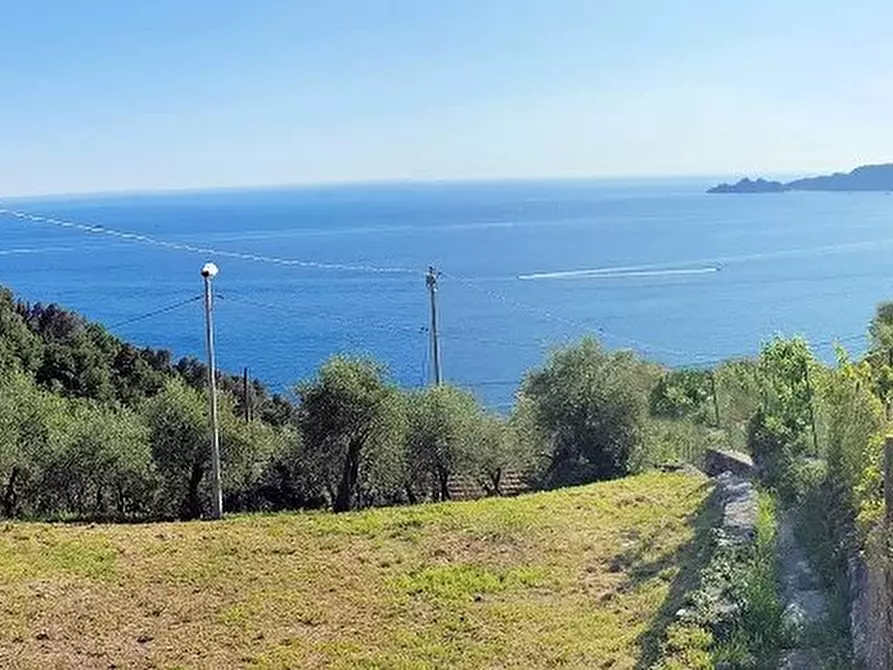 Immagine 17 di Terreno edificabile in vendita  in Sant'Andrea di Rovereto a Chiavari