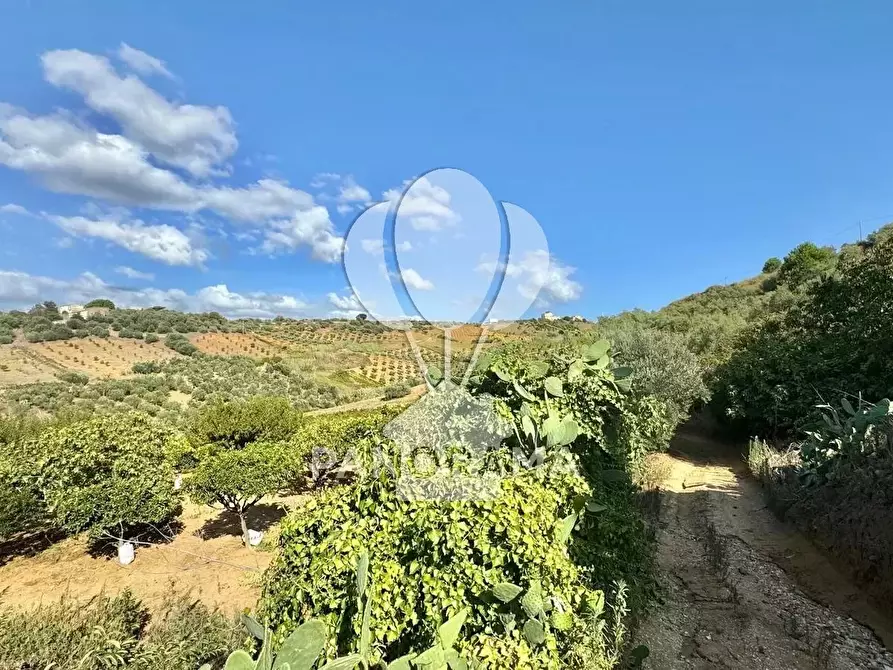 Immagine 9 di Terreno edificabile in vendita  in Contrada Casale a Alcamo