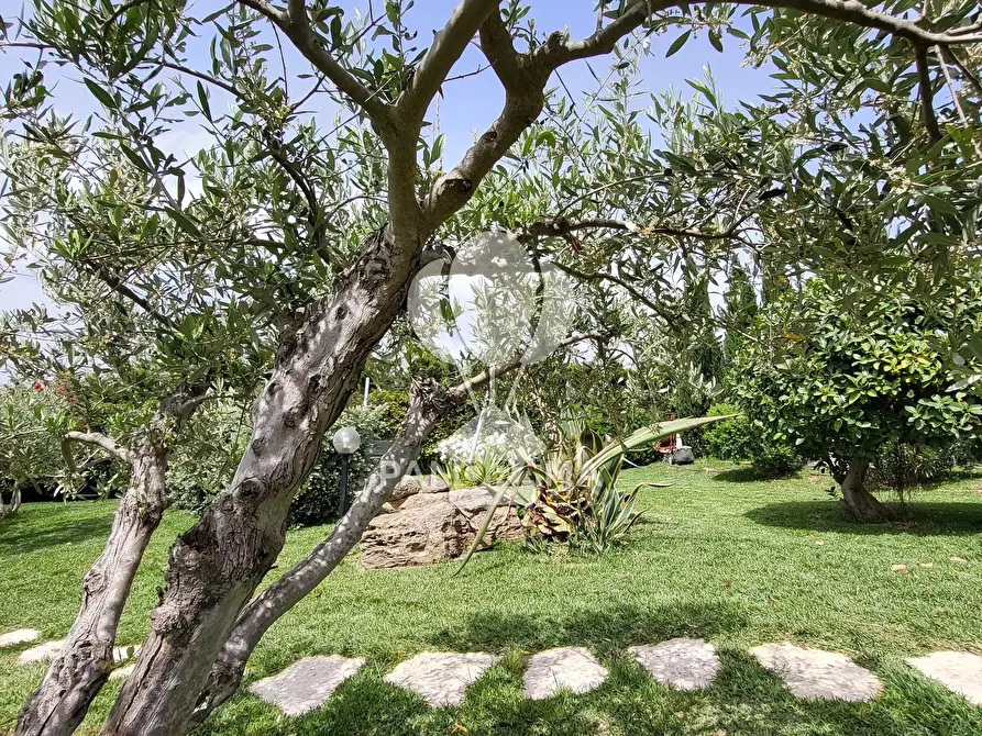 Immagine 23 di Terreno edificabile in vendita  in Costiera Occidentale Partenicense Balestrate a Balestrate