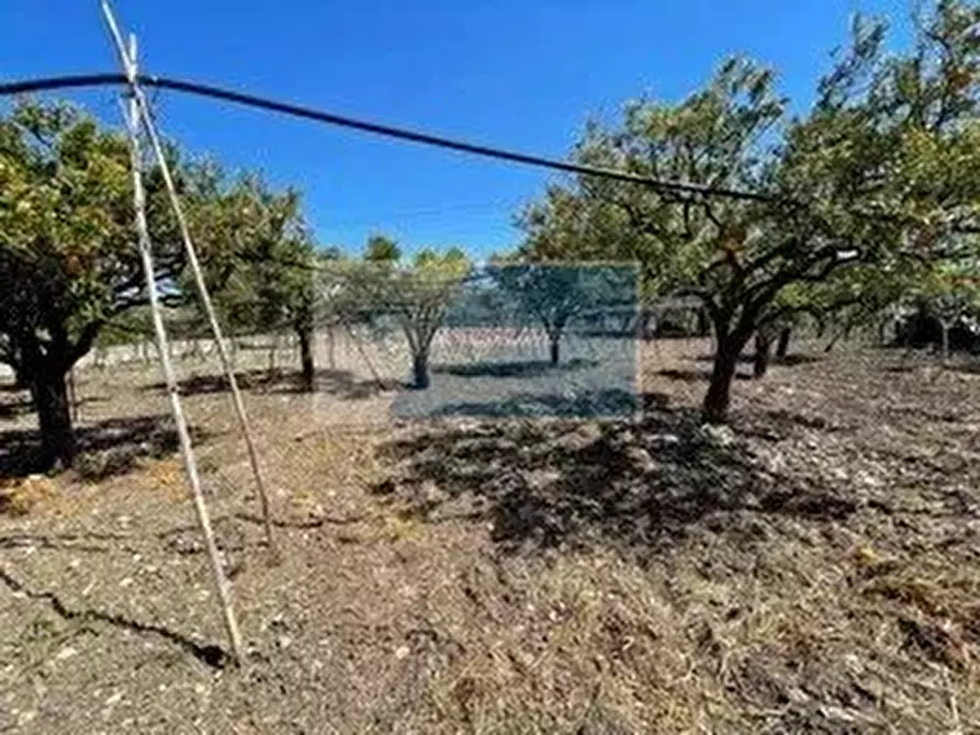 Immagine 19 di Terreno edificabile in vendita  a Siracusa