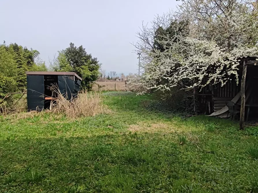 Immagine 5 di Terreno edificabile in vendita  a Santa Lucia Di Piave