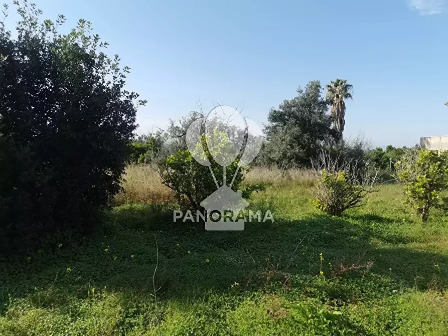 Immagine 8 di Terreno in vendita  in Contrada San Cataldo a Capaci