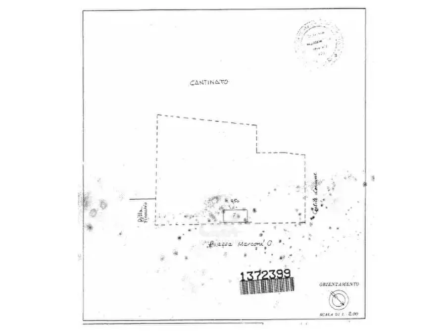 Immagine 16 di Casa trifamiliare in vendita  a Marsala