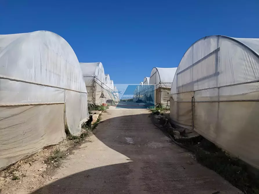 Immagine 9 di Attico in vendita  in CONTRADA GRANELLI a Pachino