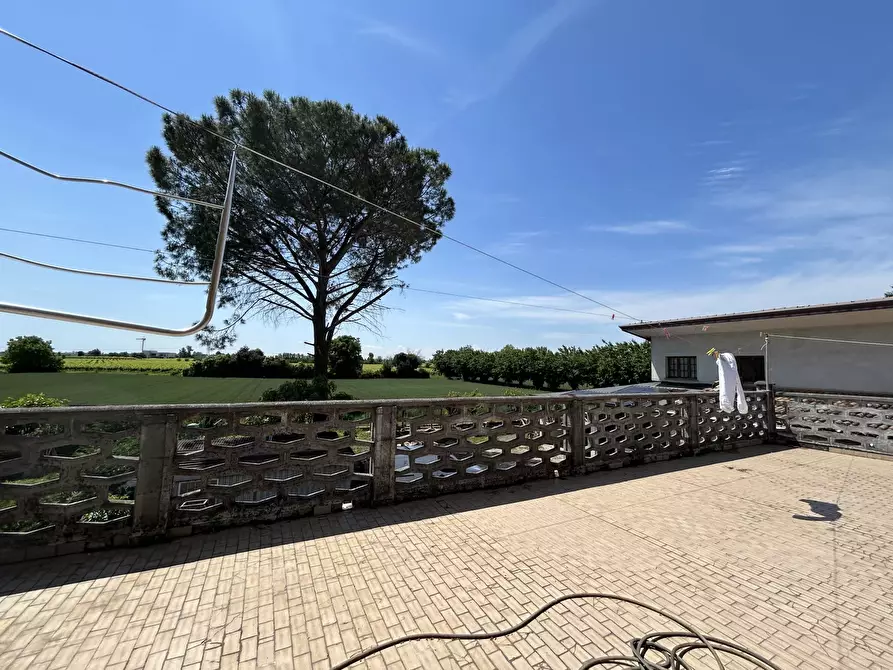 Immagine 35 di Casa trifamiliare in vendita  a Cimadolmo