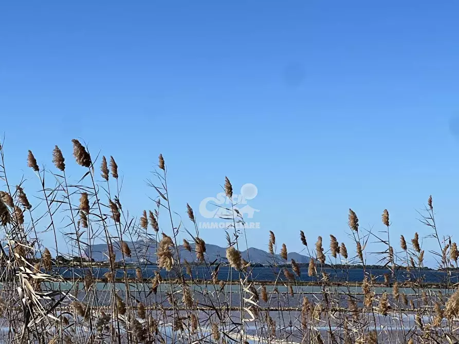 Immagine 33 di Terreno in vendita  a Marsala