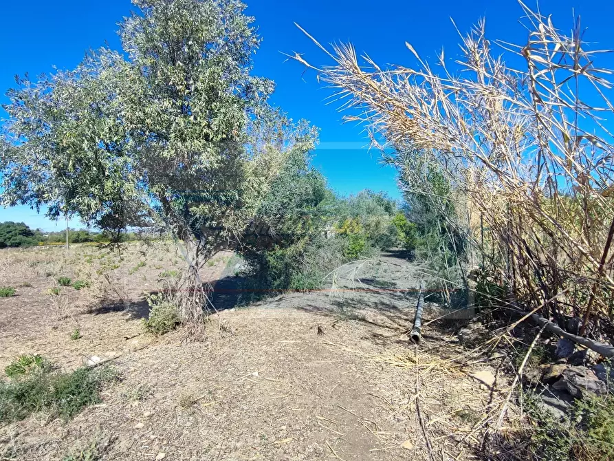 Immagine 1 di Terreno in vendita  in contrada figiliffi a Siracusa