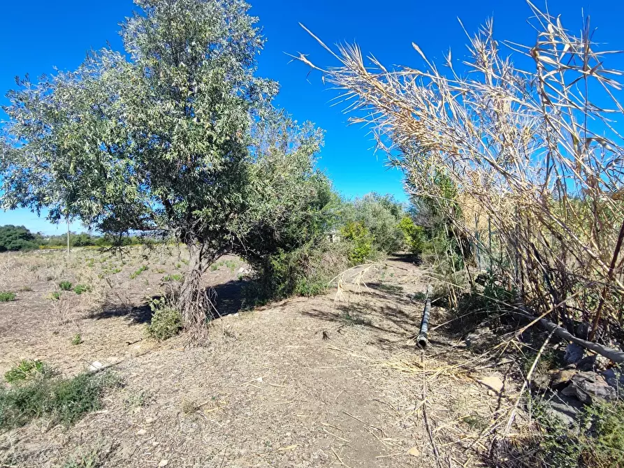 Immagine 1 di Terreno in vendita  in contrada fegotta a Siracusa