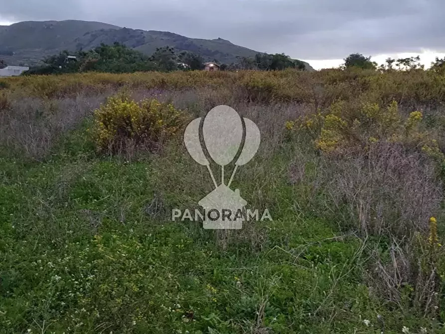 Immagine 3 di Terreno in vendita  in Rurale 14 a Partinico
