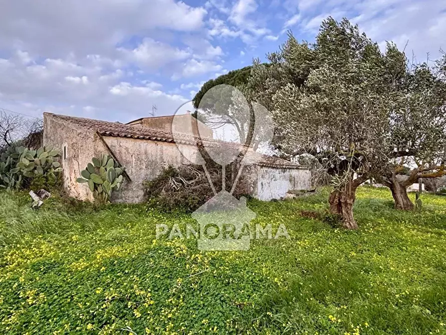 Immagine 20 di Terreno edificabile in vendita  in Contrada Bosco Falconeria SNC, 90047 Partinico PA, Italy a Partinico