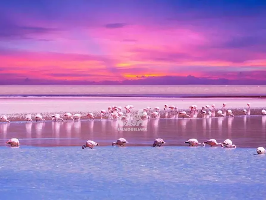 Immagine 21 di Terreno edificabile in vendita  a Marsala