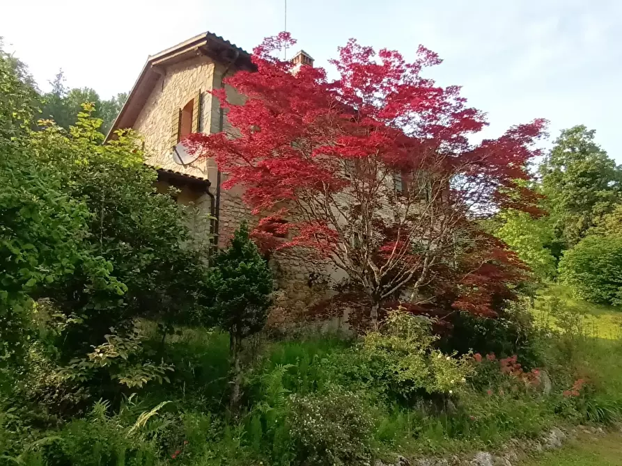 Immagine 45 di Terreno edificabile in vendita  a Refrontolo