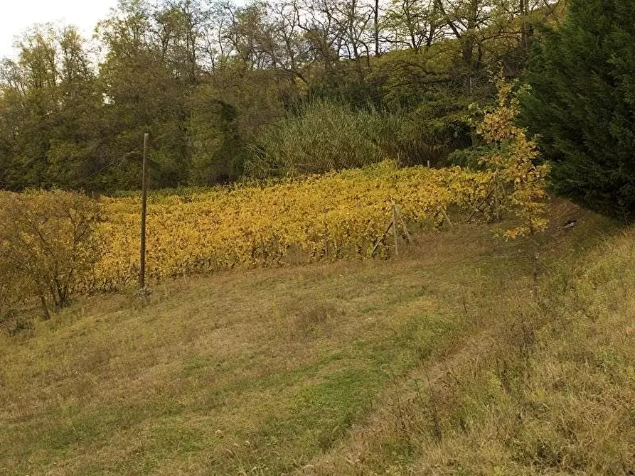 Immagine 17 di Terreno edificabile in vendita  a Santo Stefano Belbo