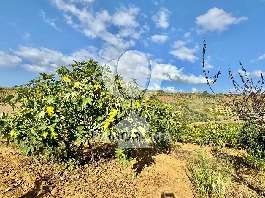 Immagine 16 di Terreno edificabile in vendita  in Contrada Casale a Alcamo