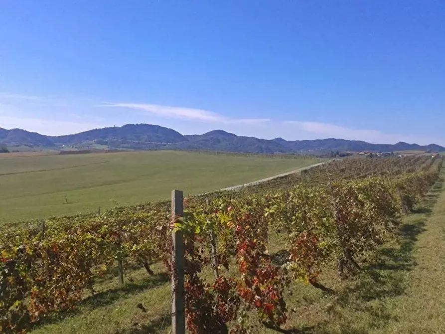 Immagine 8 di Attico in vendita  a Pontestura