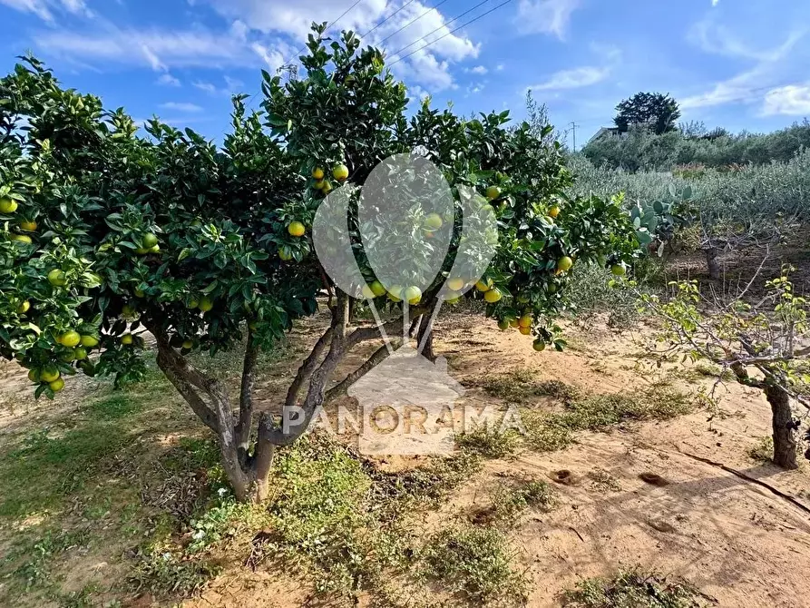 Immagine 2 di Terreno in vendita  in Contrada Timpi Rossi a Alcamo