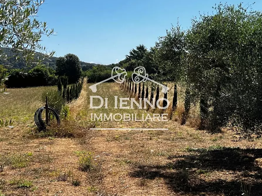 Immagine 18 di Terreno edificabile in vendita  in Strada Valle del Dragone a Arlena Di Castro