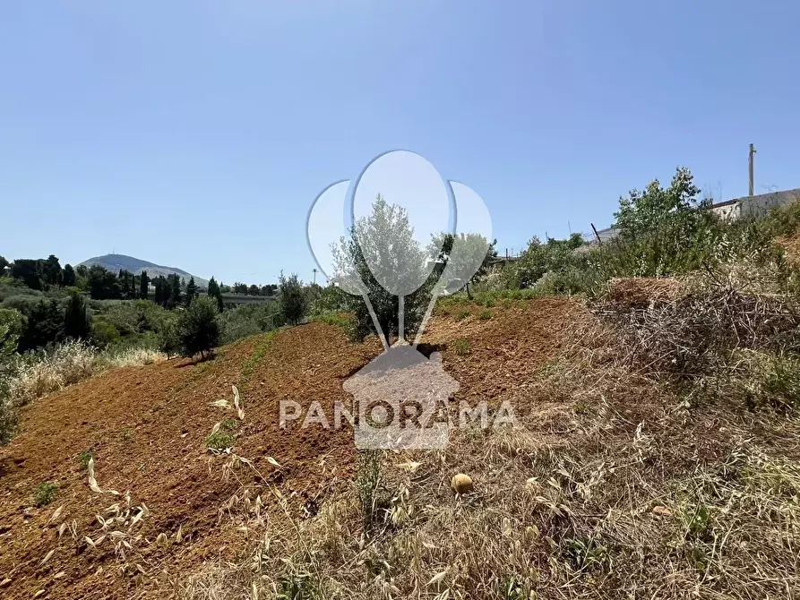 Immagine 14 di Terreno in vendita  in Contrada Vallone del Lupo a Alcamo