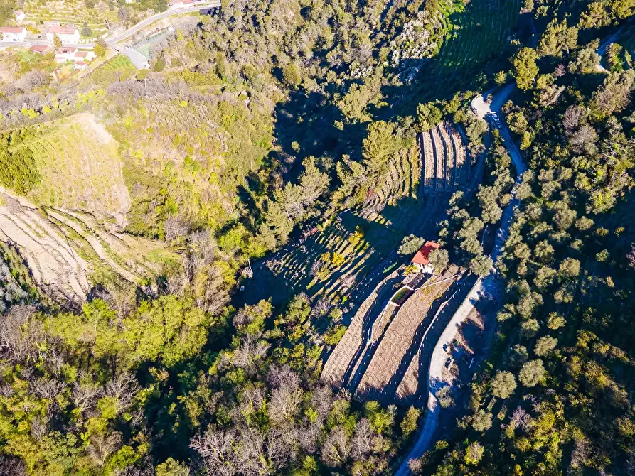 Immagine 11 di Terreno in vendita  a San Biagio Della Cima