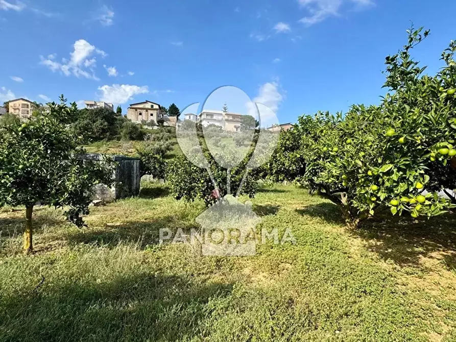 Immagine 18 di Terreno in vendita  in Contrada Timpi Rossi a Alcamo