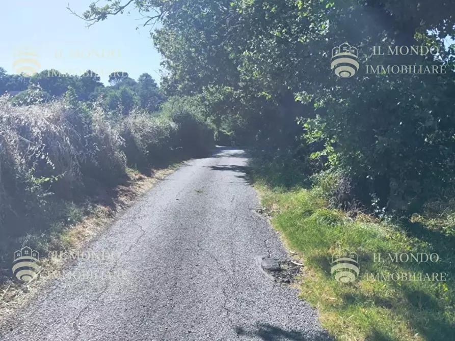 Immagine 6 di Terreno in vendita  in Località Albanetta a Palombara Sabina