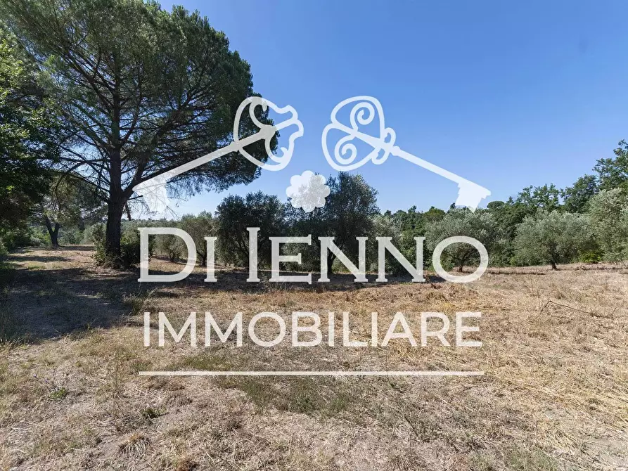 Immagine 3 di Terreno in vendita  a Roma