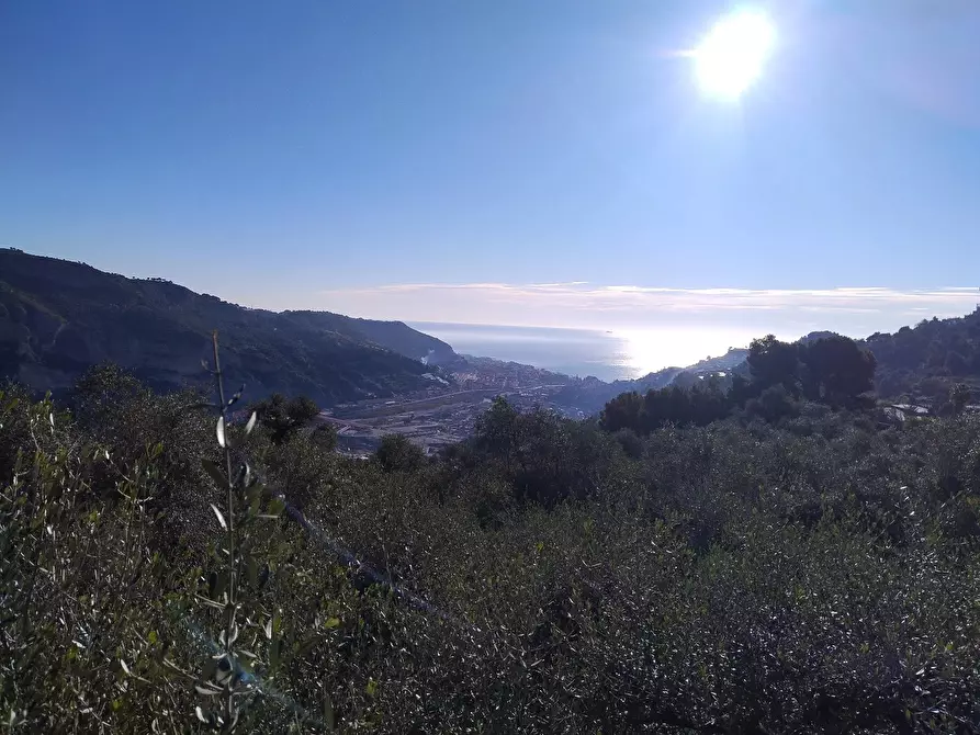 Immagine 4 di Terreno in vendita  in Via Sant'Anna a Ventimiglia