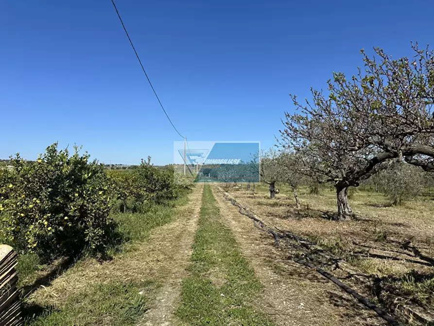 Immagine 12 di Terreno in vendita  a Noto