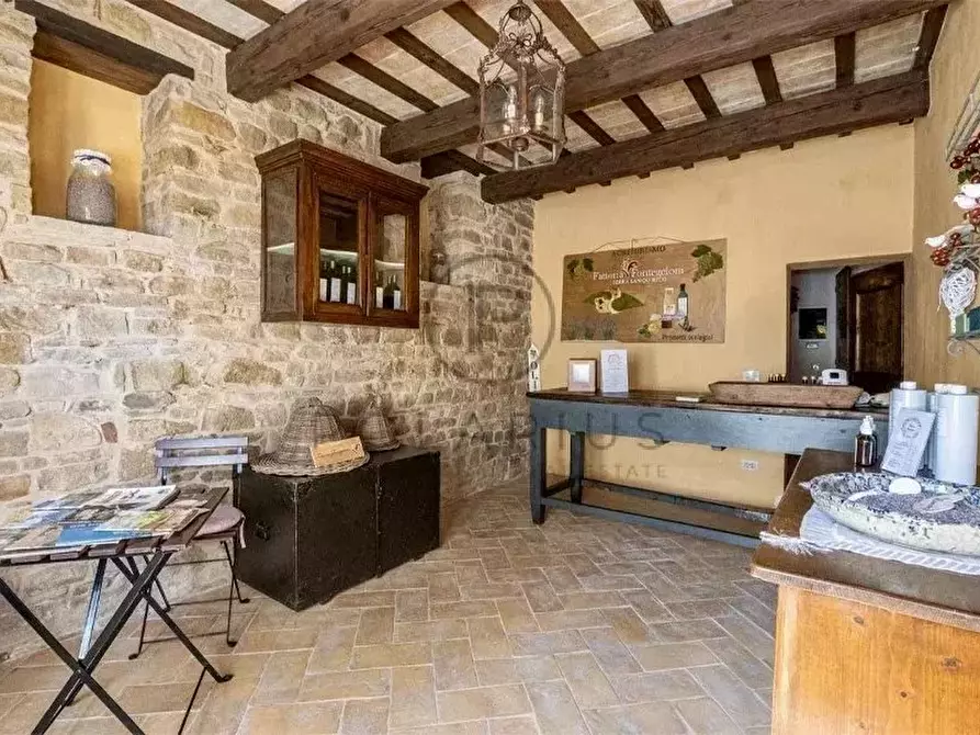 Immagine 28 di Terreno edificabile in vendita  in Serra San Quirico a Serra San Quirico