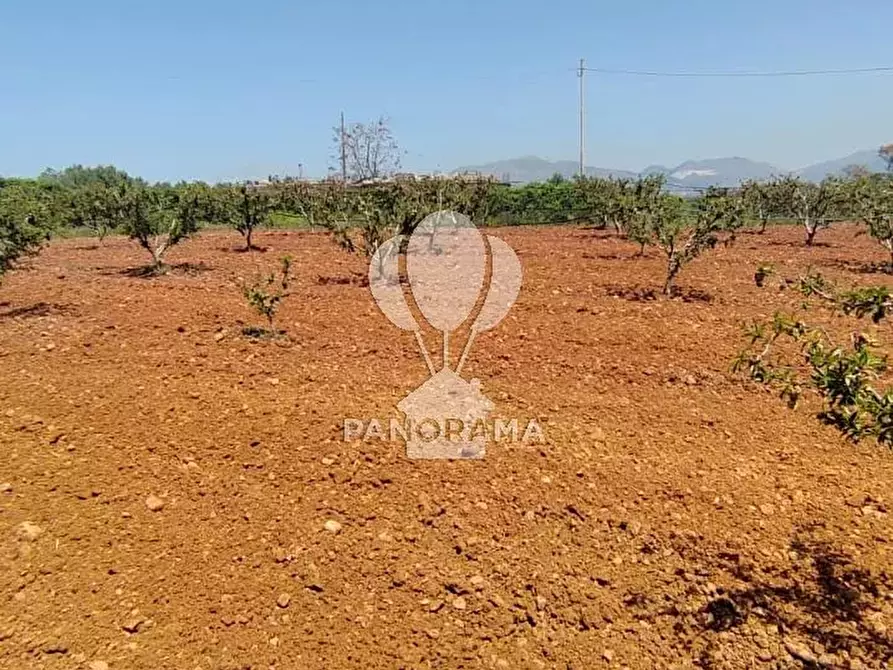 Immagine 4 di Terreno in vendita  in Via Adda Partinico a Partinico