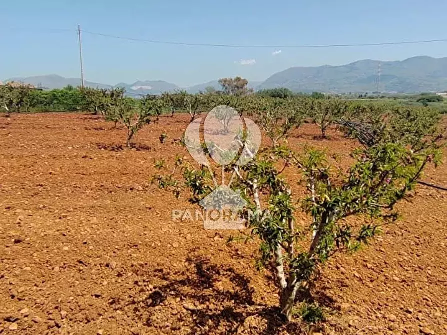 Immagine 2 di Terreno in vendita  in Via Adda Partinico a Partinico