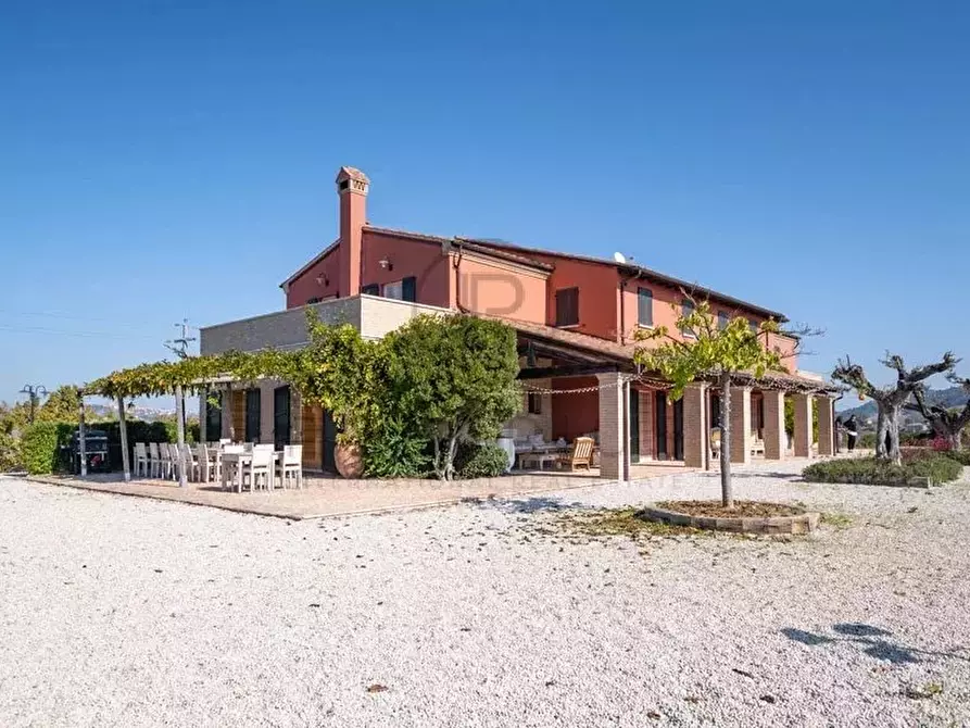 Immagine 9 di Terreno edificabile in vendita  in ripatransone a Ripatransone
