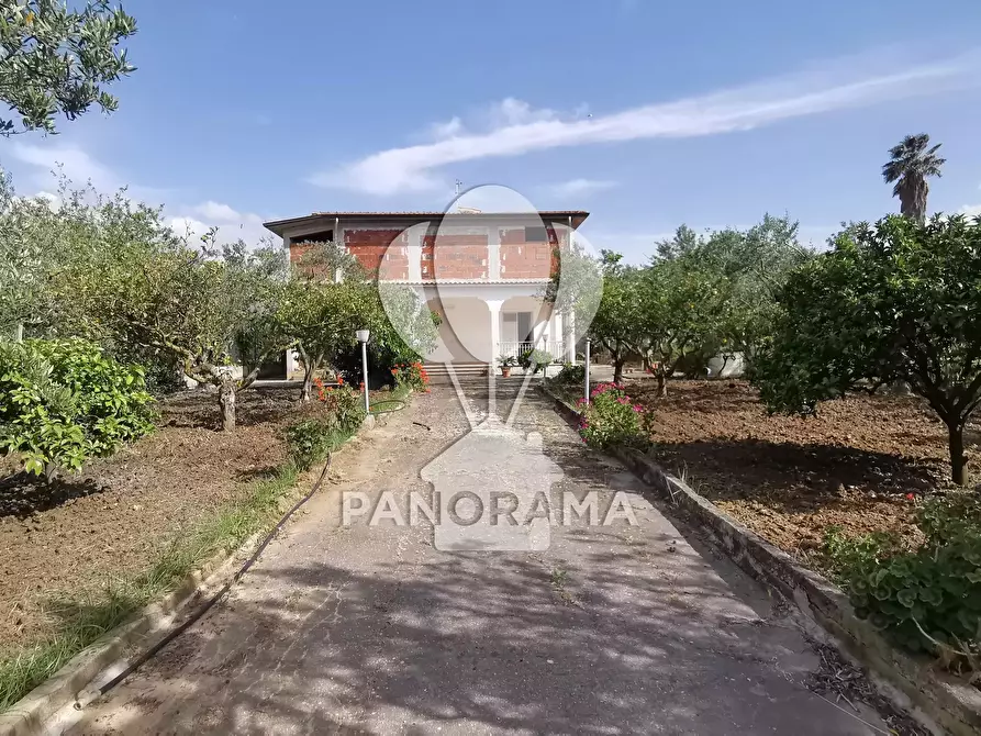 Immagine 3 di Terreno edificabile in vendita  in Agriturismo Margi Soprano - Menù fisso - Grigliata - Aperti Sabato e Domenica a Pranzo a Partinico