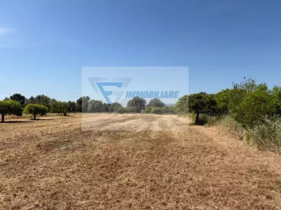 Immagine 12 di Terreno in vendita  in Strada Tremmilia a Siracusa