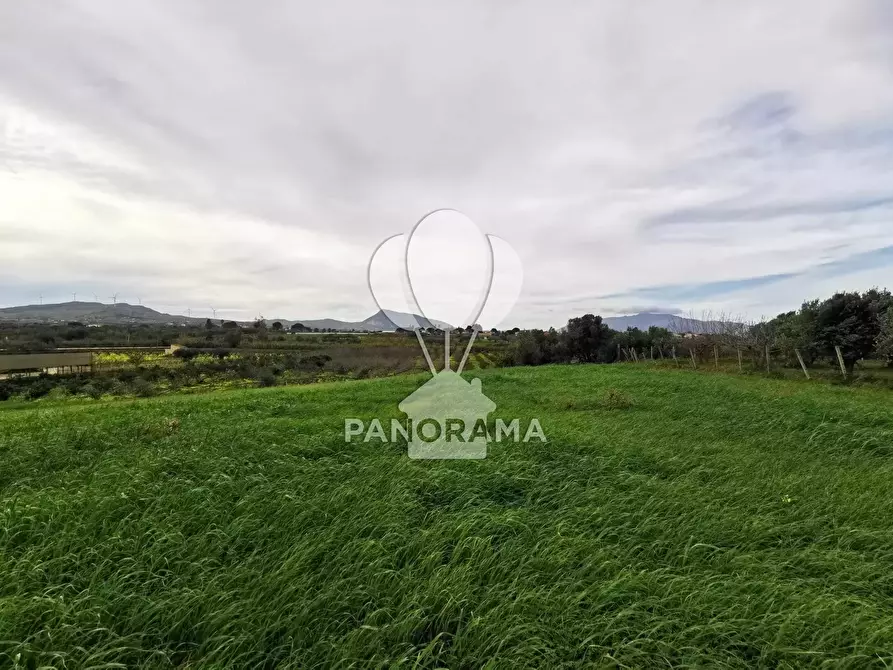 Immagine 4 di Terreno in vendita  in B&B falconeria a Partinico