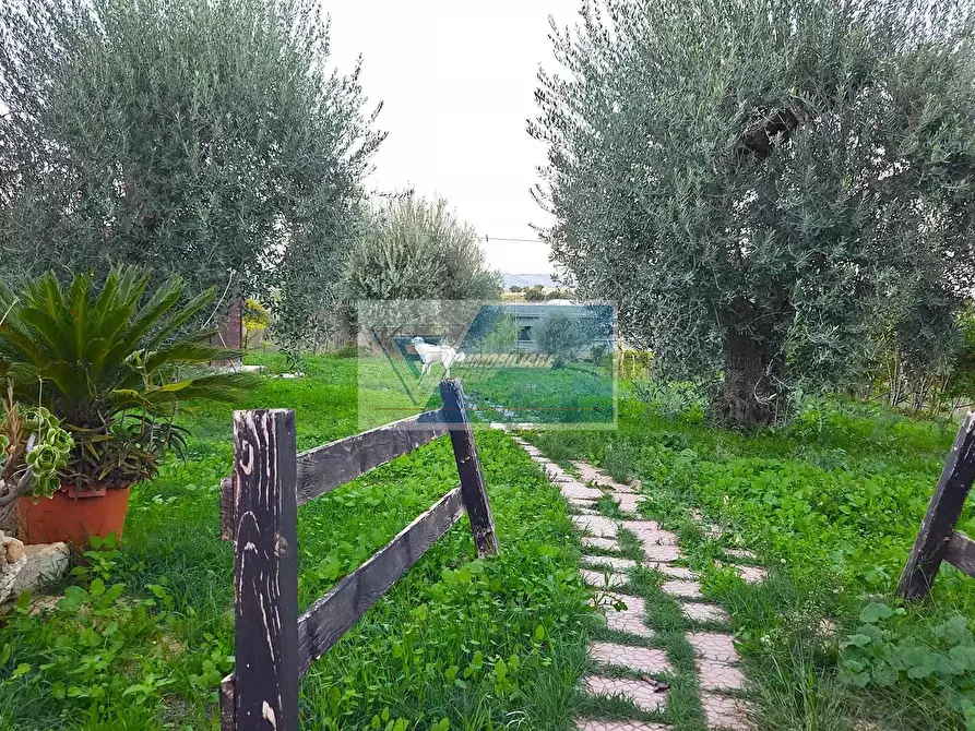 Immagine 16 di Terreno edificabile in vendita  in SP59 a Noto